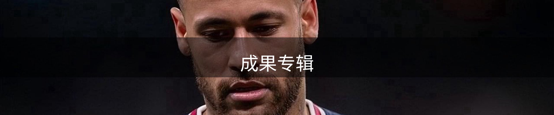 成果专辑